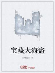 宝藏大海盗