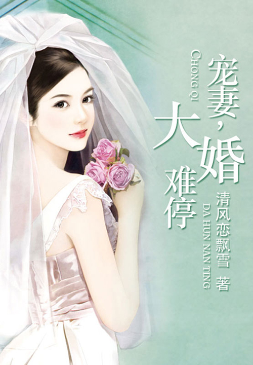 宠妻,大婚难停