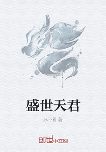 盛世天君
