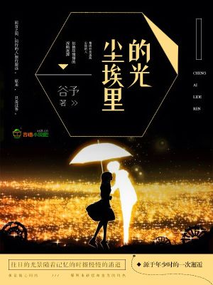 尘埃里的光