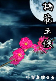 梅花五侠