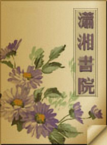 清心记