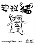 契科猪