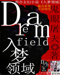 入梦领域