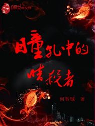 瞳孔中的暗杀者